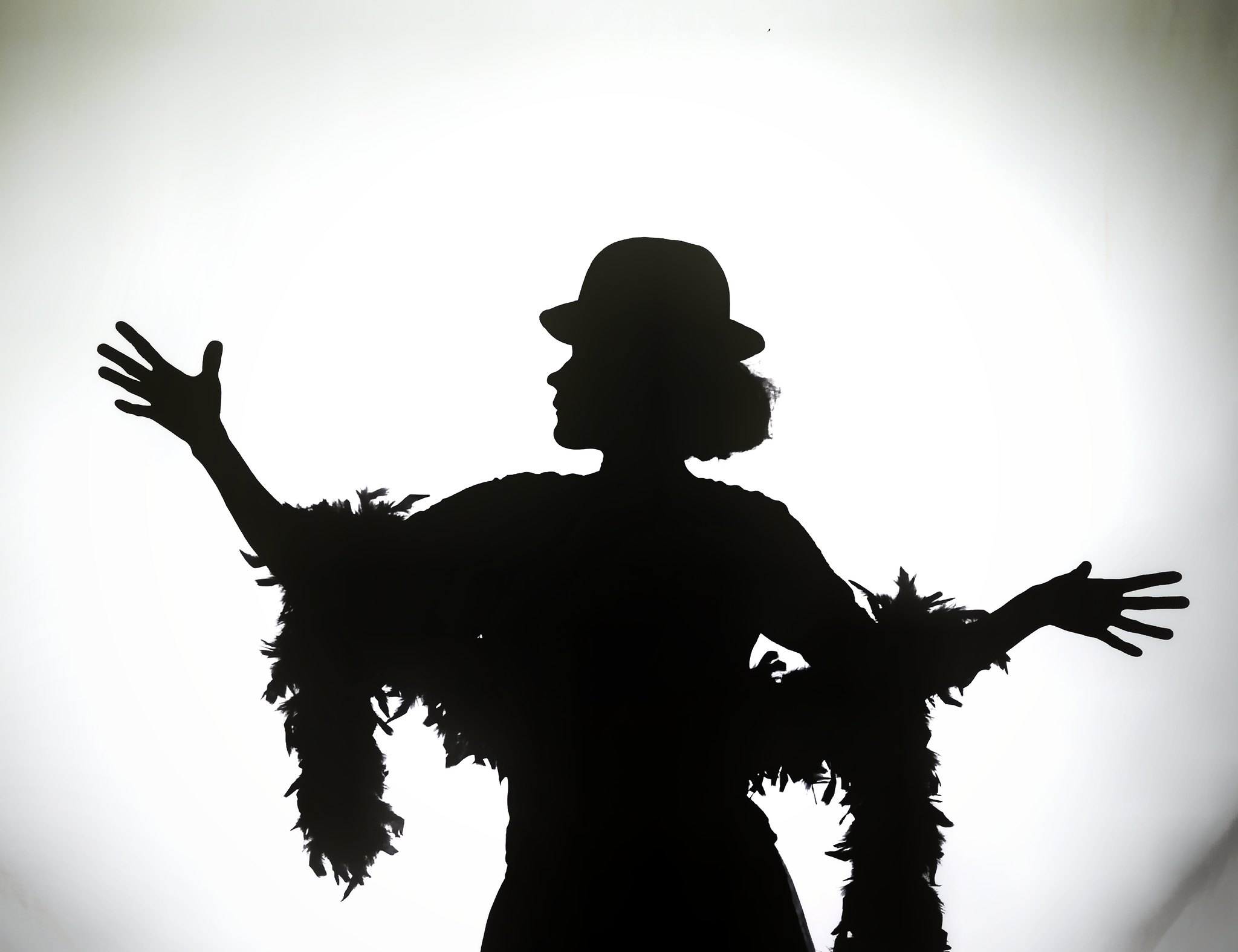 Read more about the article Finnish Shadow Theatre Association: Shadow Swing Show