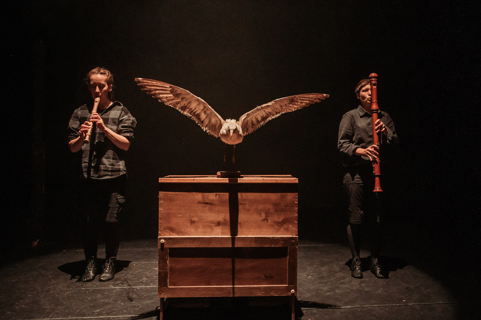 Read more about the article Forsman – Halme – Kultala – Latvala – Sippola & Turku City Theatre: The Birds